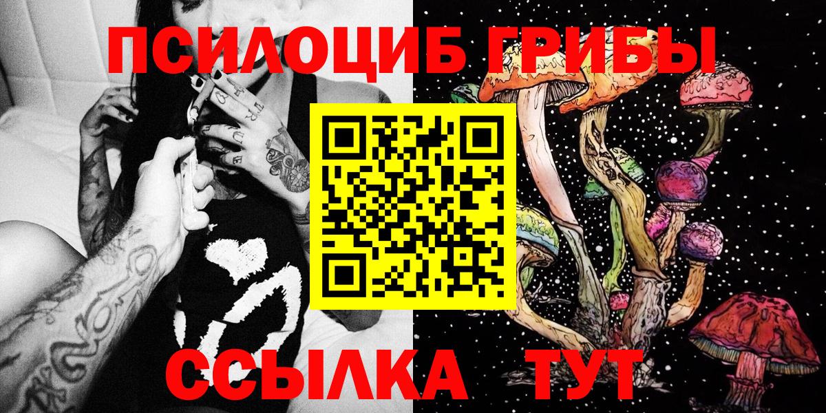 Галлюциногенные грибы прущие грибы  Галлюциногенные грибы Psilocybe  Вход с VPN  Боровичи 